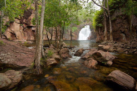 Florence Falls - Tourism Bookings 0