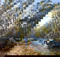 Forest Drive Murrumbidgee Valley National Park - Events Australia