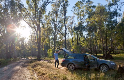 Forest Drive, Murrumbidgee Valley National Park - Tourism Bookings 0