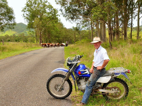Gloucester Museum - Tourism Bookings 2