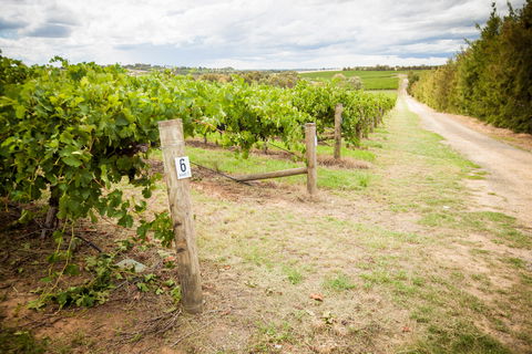 Grove Estate Wines - Events Australia 0