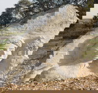 Heritage Sculptures at Pensioners Hill Lookout - Events Australia