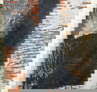 Lighthouse View - Tourism Bookings