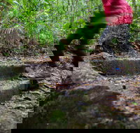 Maiala - Events Australia