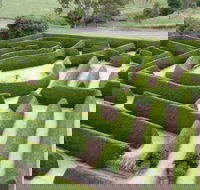 Mintaro Maze - Events Australia