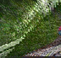 Morisset - Events Australia