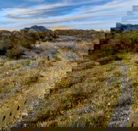 Murramarang Aboriginal Area Walking Track - Events Australia