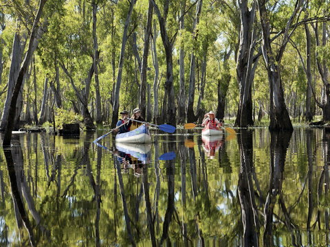 Murray River Canoe Trails - Events Australia 0