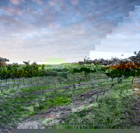 Nature and Foodies Trail - Events Australia