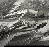 Pioneer Park - Accommodation Europe