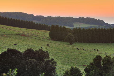 Robertson Heritage Railway Station - Tourism Bookings 2
