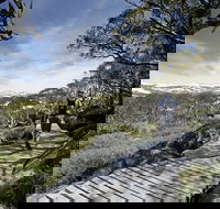 Snow Gums boardwalk - Events Australia