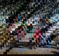 State Forests of the Watagan Mountains - Events Australia