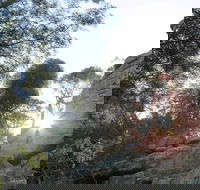 Store Creek Picnic Area - Events Australia