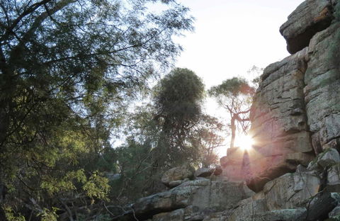 Store Creek Picnic Area - Events Australia 0