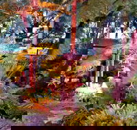 The Fernery at Diamond Waters - Events Australia