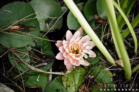 The Beach Bible Garden - Events Australia 0