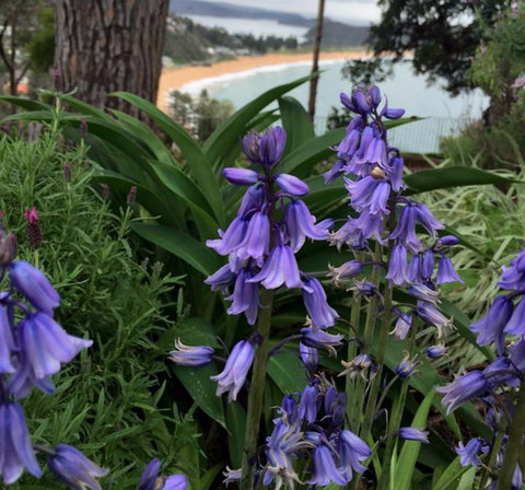 The Beach Bible Garden - Events Australia 1