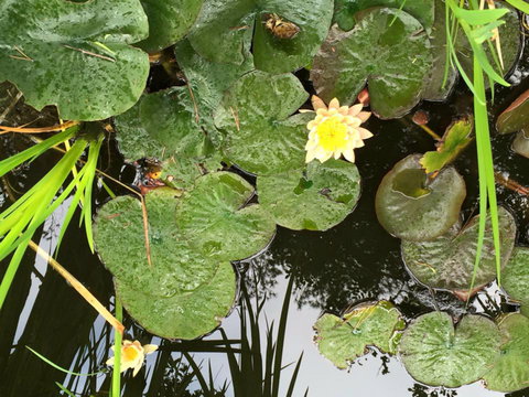The Beach Bible Garden - Events Australia 2