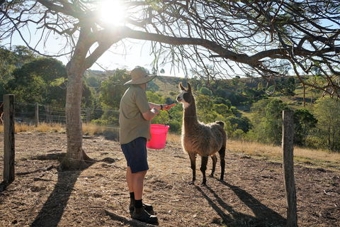 The Llama Farm - Events Australia 2