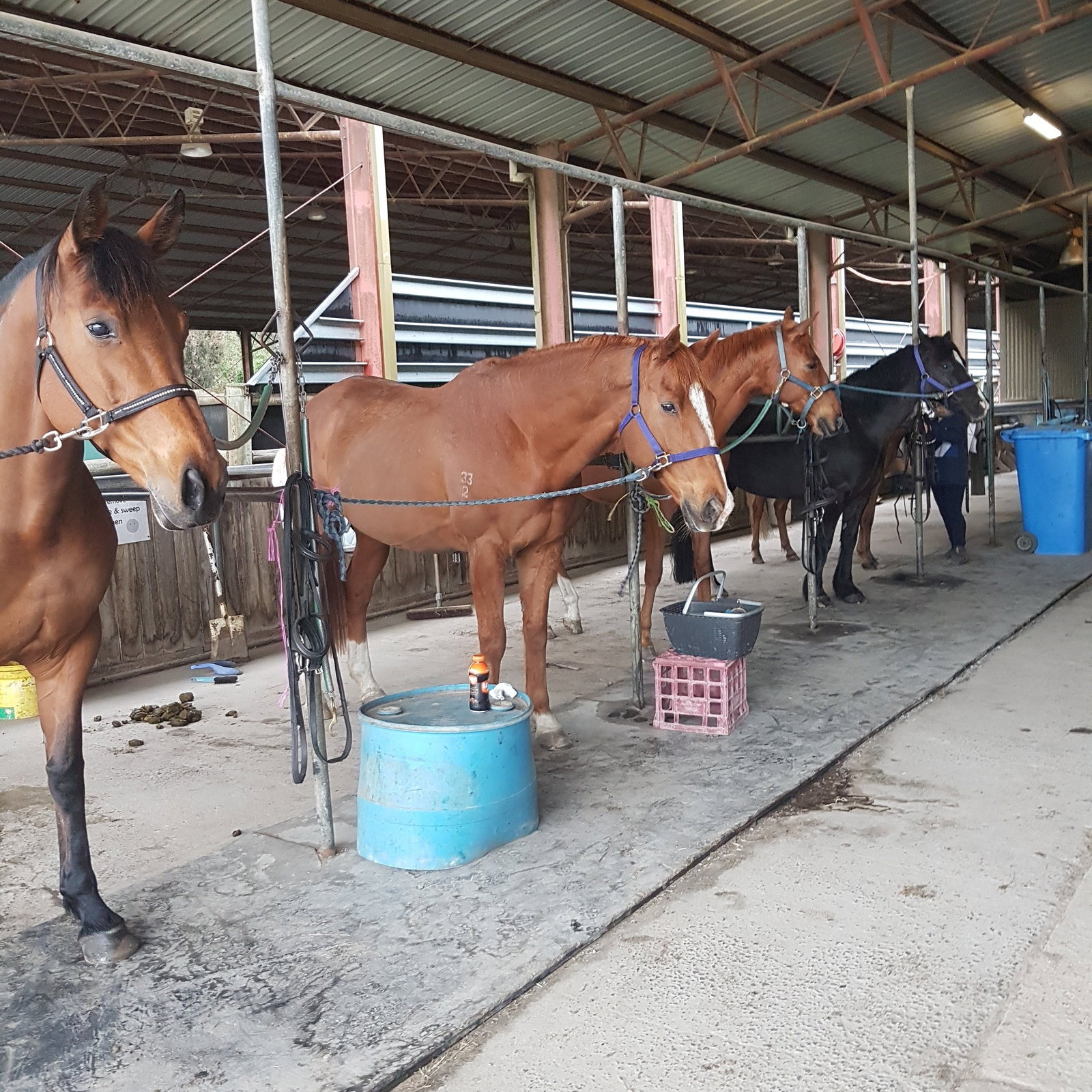 Cranbourne South VIC Tourism Bookings