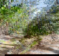 Tip to Tail Trail - Events Australia