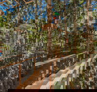 TreeTops Sydney The Hills - Events Australia