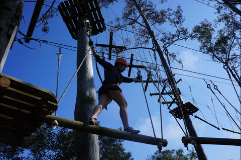 Trees Adventure Nowra Park - Events Australia 0