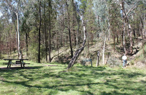 Wallaby Walking Track - Events Australia 0