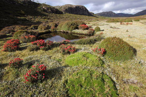 Walls Of Jerusalem National Park - Events Australia 1