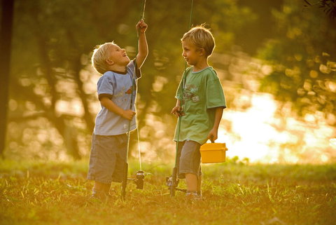 Wilsons River Experience Walk - Events Australia 0