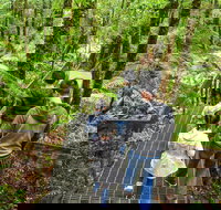 Yarra Ranges National Park - Accommodation Europe