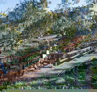 Falcon Falls walking track - Events Australia