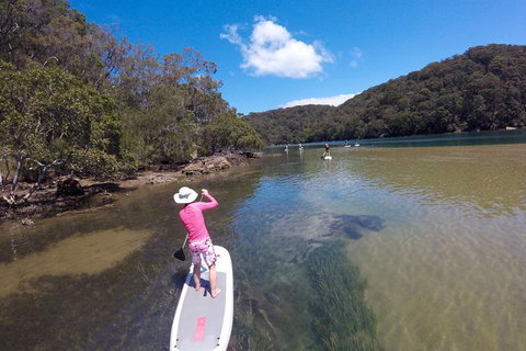 Ku-ring-gai Chase National Park Stand Up Paddleboard Tour - Events Australia 4