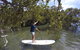 Ku-ring-gai Chase National Park Stand Up Paddleboard Tour - thumb 0