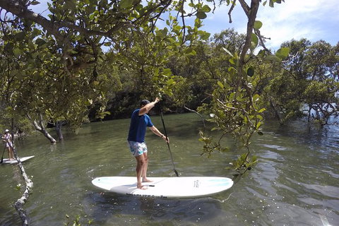 Ku-ring-gai Chase National Park Stand Up Paddleboard Tour - Events Australia 0