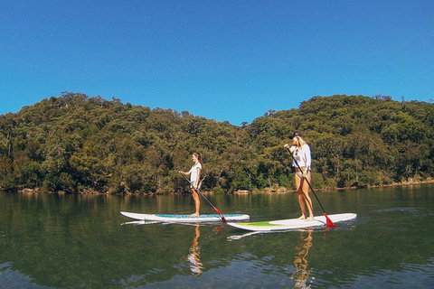 Ku-ring-gai Chase National Park Stand Up Paddleboard Tour - Events Australia 3