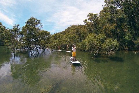 Ku-ring-gai Chase National Park Stand Up Paddleboard Tour - Events Australia 1