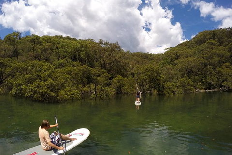 Ku-ring-gai Chase National Park Stand Up Paddleboard Tour - Events Australia 5