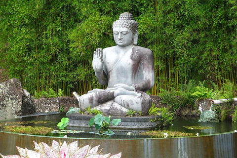 Crystal Castle Shuttle From Byron Bay (full Day) - Events Australia 0