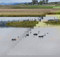 Beardy Waters Dam and Woodlands - Events Australia