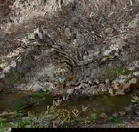 Brisbane Ranges National Park - Events Australia