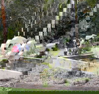 Maroochy Regional Bushland Botanic Garden - Events Australia