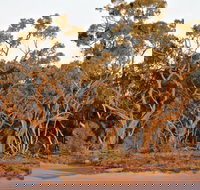 Yawura Yarun - Events Australia