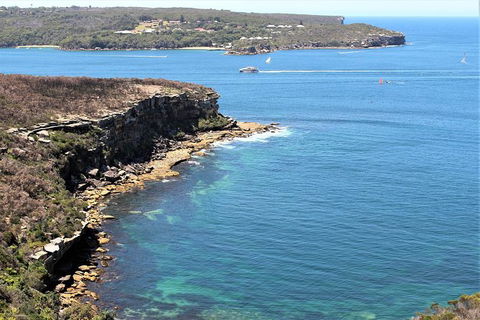 Half Day Manly Beach And More - Events Australia 9