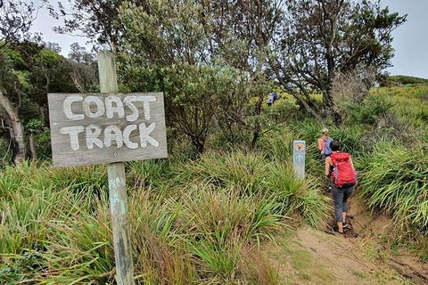 Two-Day Sydney Blue Mountains Sea To Summit Adventure - Tourism Bookings 3