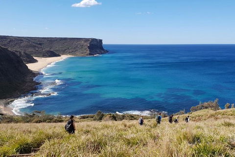 Two-Day Sydney Blue Mountains Sea To Summit Adventure - Tourism Bookings 0