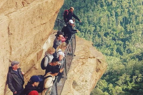 Two-Day Sydney Blue Mountains Sea To Summit Adventure - Tourism Bookings 2