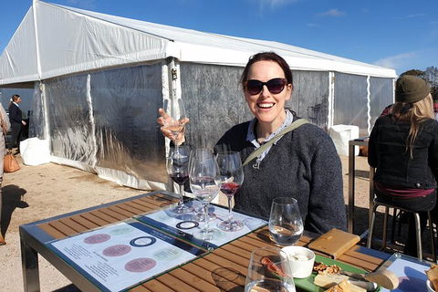 Motorcycle & Sidecar Wine Tasting Tour - Tourism Bookings 6