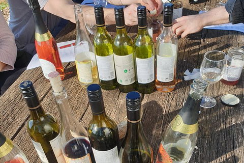 Motorcycle & Sidecar Wine Tasting Tour - Tourism Bookings 1